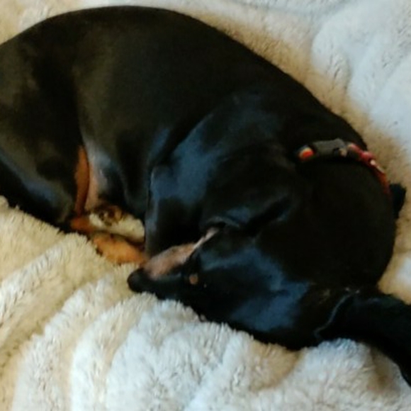 Meet your Posher, David - Picture 4 of 4